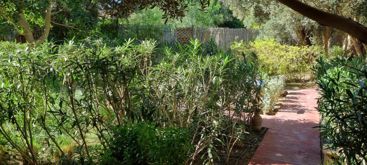 Les Trois Paons Bed & Breakfast Taroudant Exterior foto