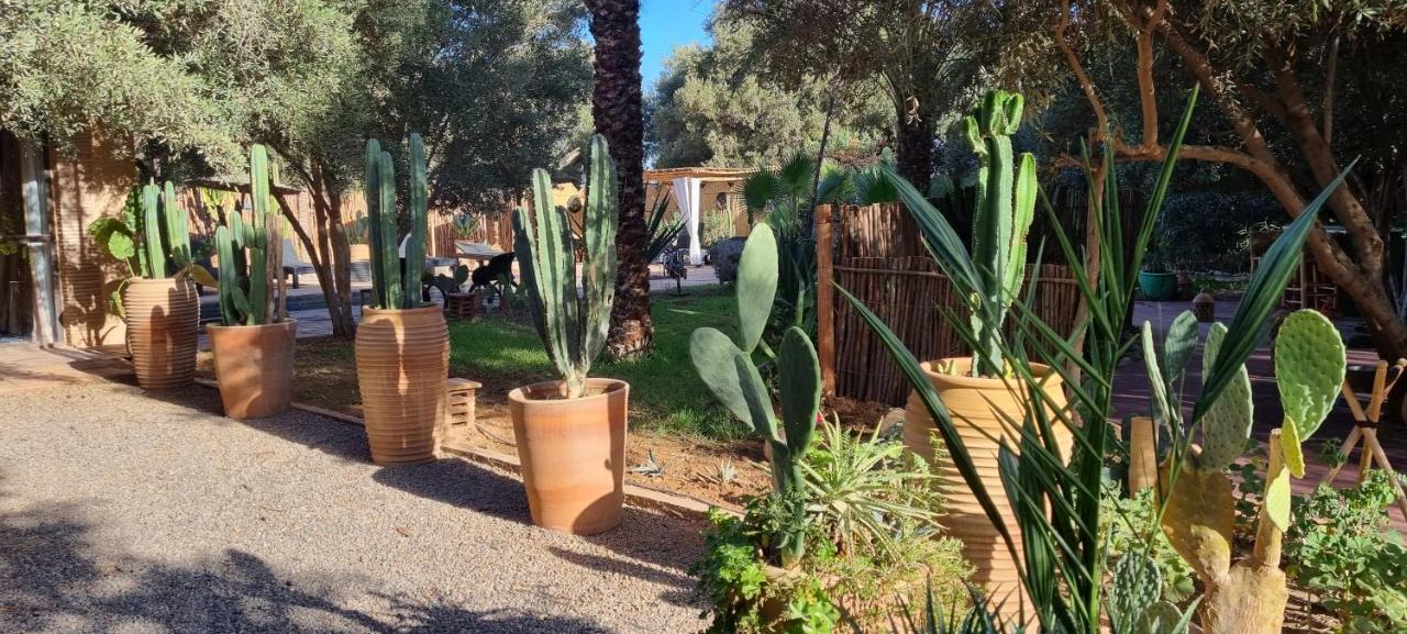 Les Trois Paons Bed & Breakfast Taroudant Exterior foto