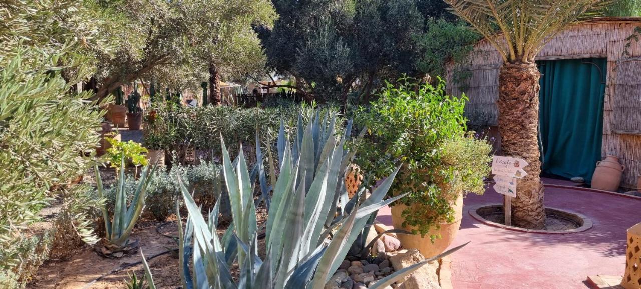 Les Trois Paons Bed & Breakfast Taroudant Exterior foto