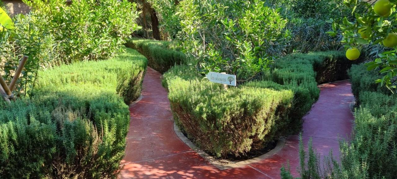Les Trois Paons Bed & Breakfast Taroudant Exterior foto