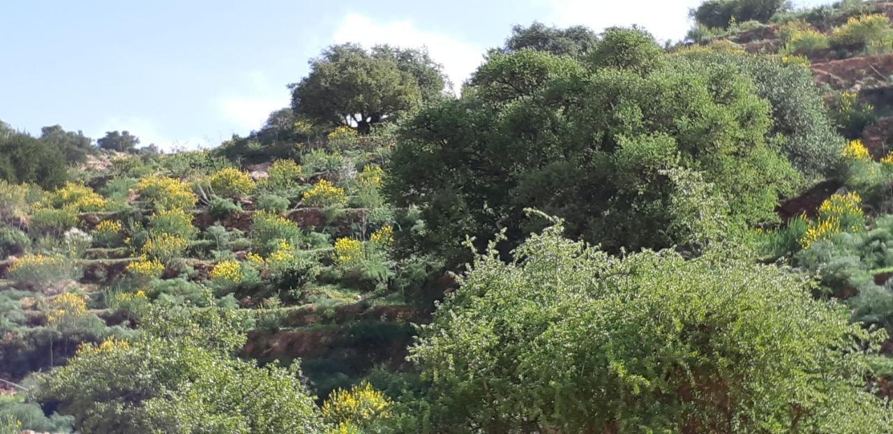 Les Trois Paons Bed & Breakfast Taroudant Exterior foto